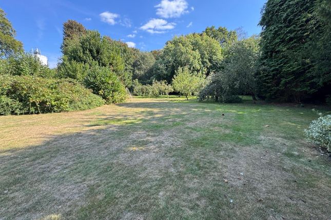 Priorswood, Guildford photo 4