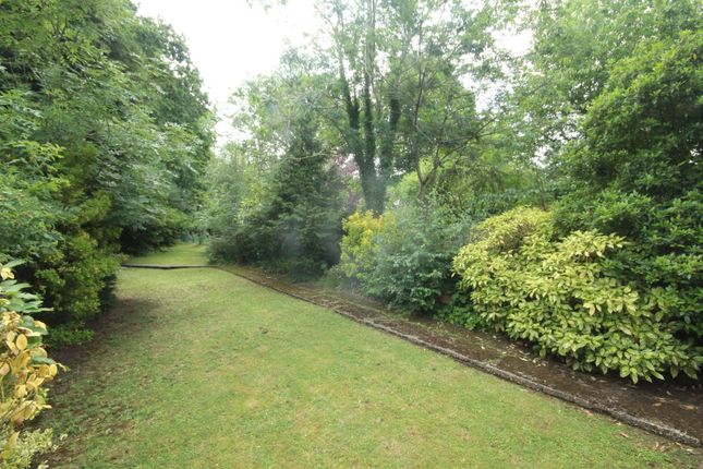 33, Cuckoo Hill Drive, Pinner photo 3