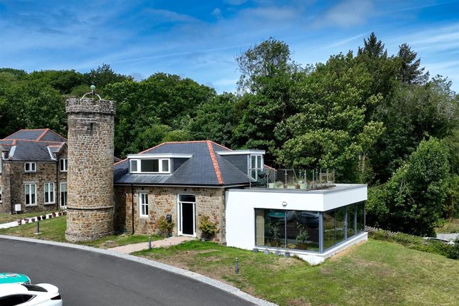 Thumbnail Detached house for sale in Castle View, Blackpill, Swansea