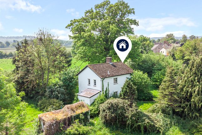 Thumbnail Cottage for sale in Curland, Taunton