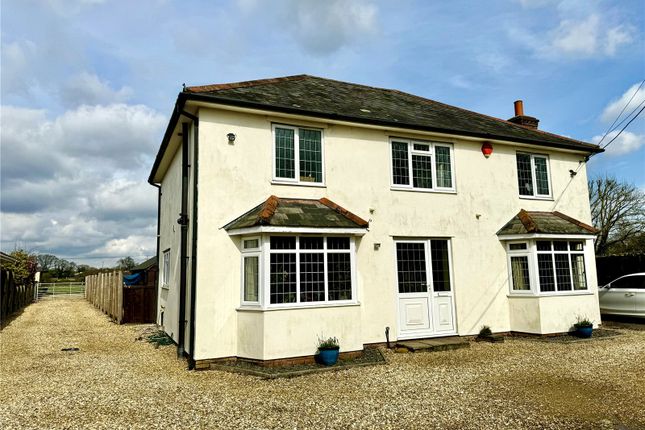 Thumbnail Equestrian property for sale in Sway Road, Pennington, Lymington, Hampshire