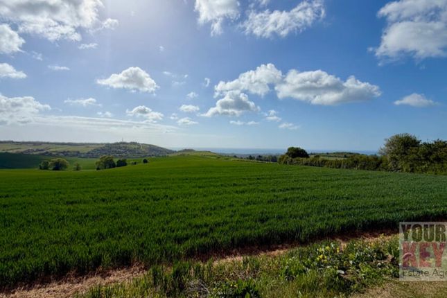 Bacchus, Gibraltar Lane, Folkestone photo 2