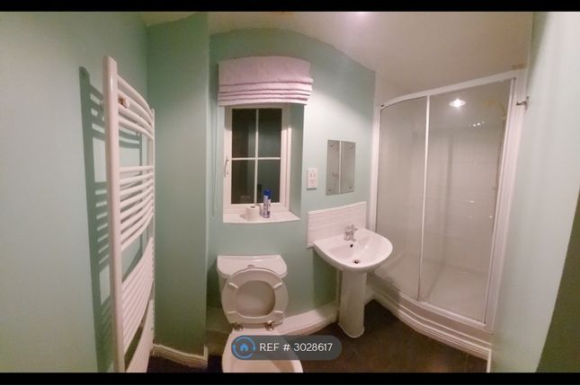 Buccaneer Grove, Newport photo 5
