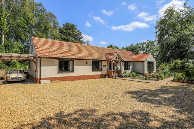Thumbnail Bungalow for sale in Southampton Road, Landford, Salisbury, Wiltshire