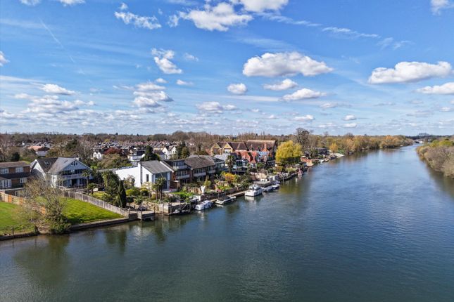 River Bank, Thames Ditton photo 2