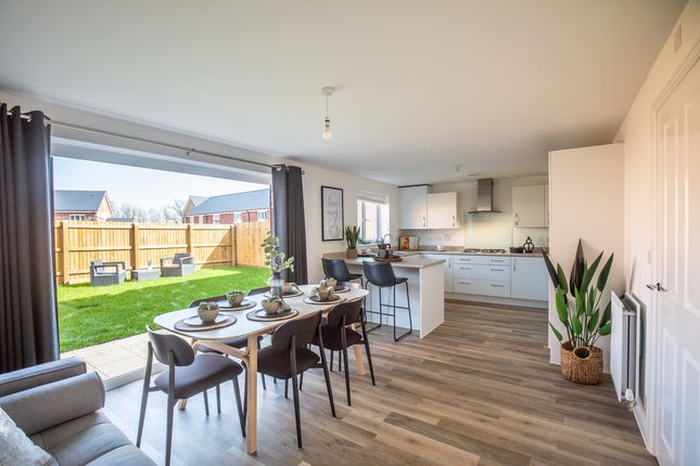 Detached house for sale in "The Juniper" at Overstone Lane, Overstone, Northampton