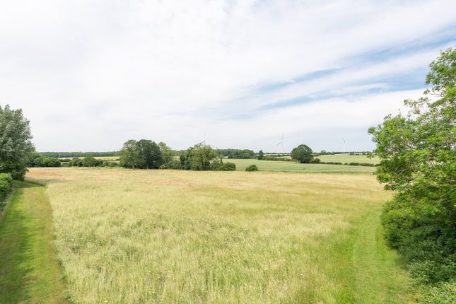 Field