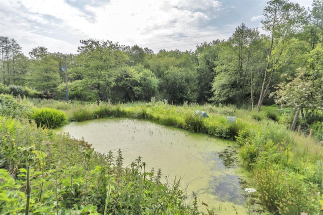 Bottom Of The Garden