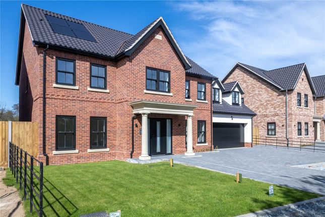 Thumbnail Detached house for sale in 3 Cecils Meadow, Damgate Lane, Acle, Norwich