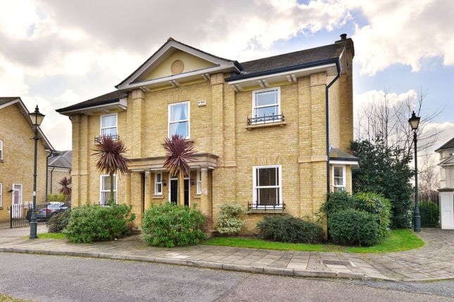 Thumbnail Detached house to rent in Burges Grove, Barnes, London