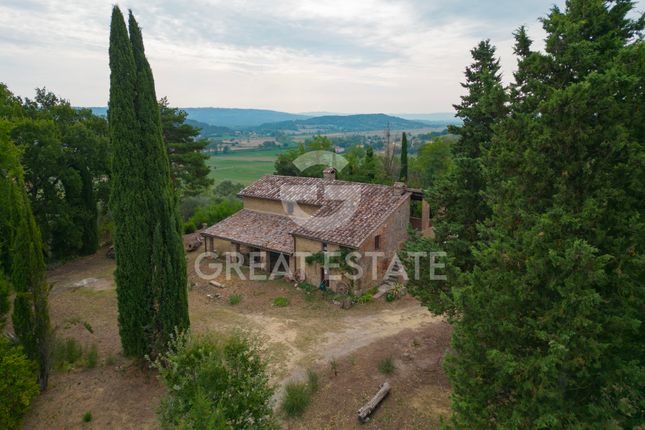 Thumbnail Villa for sale in Cetona, Siena, Tuscany