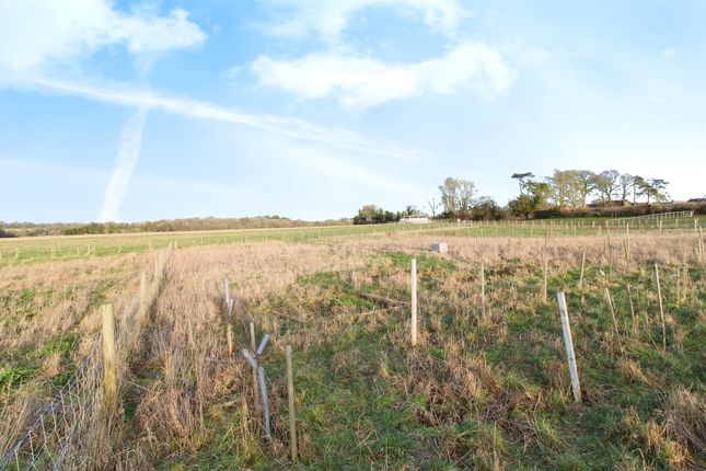 Land for sale in Wield Road, Medstead, Alton