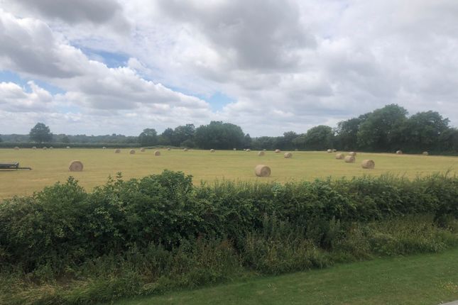 Fields