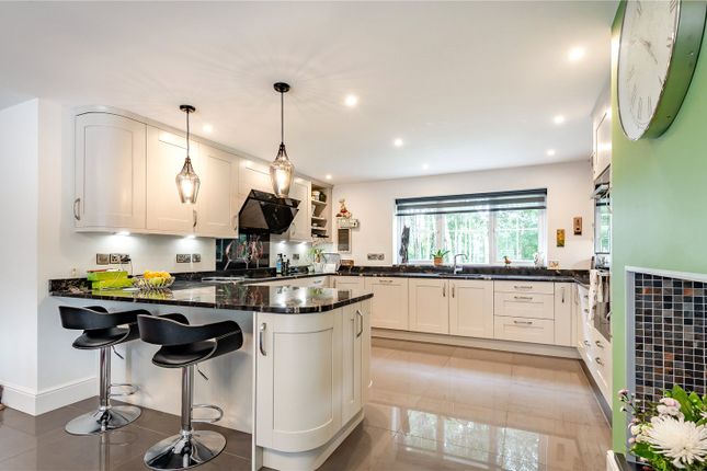 Kitchen / Dining