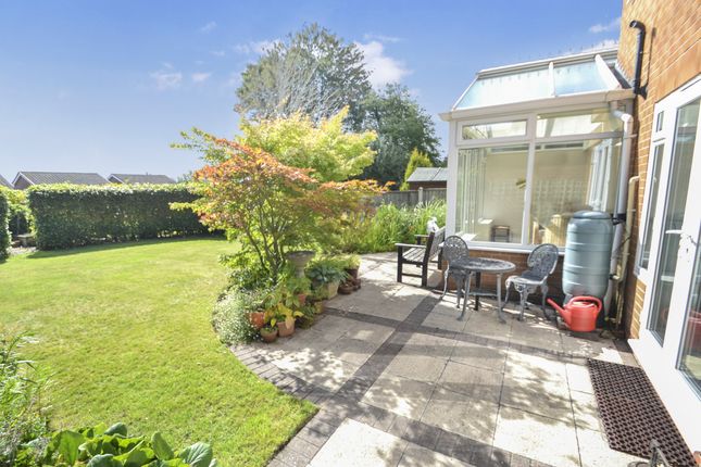 Patio And Rear Garden