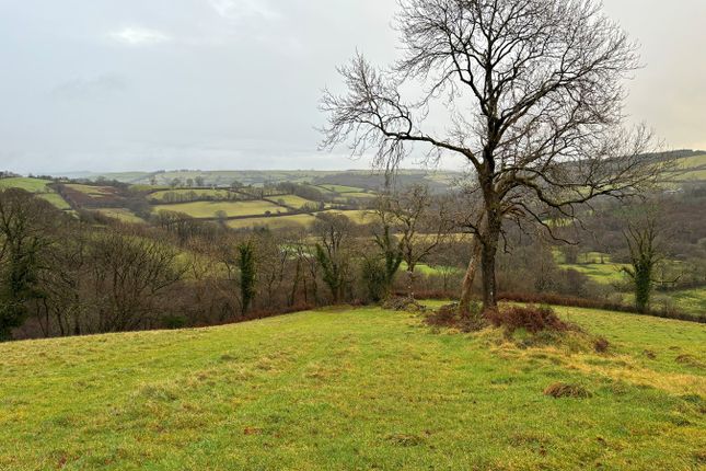 Land for sale in Rhydcymerau, Llandeilo