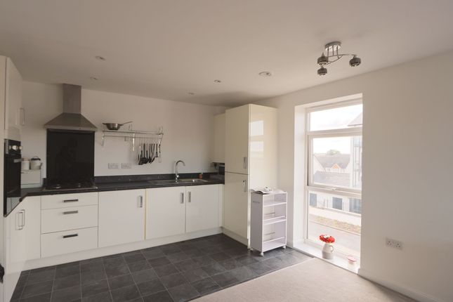17 Great Brier Leaze, Bristol photo 4