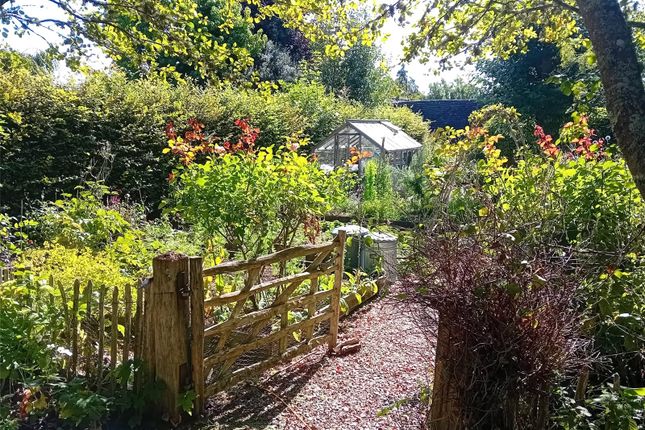 Cutting Garden