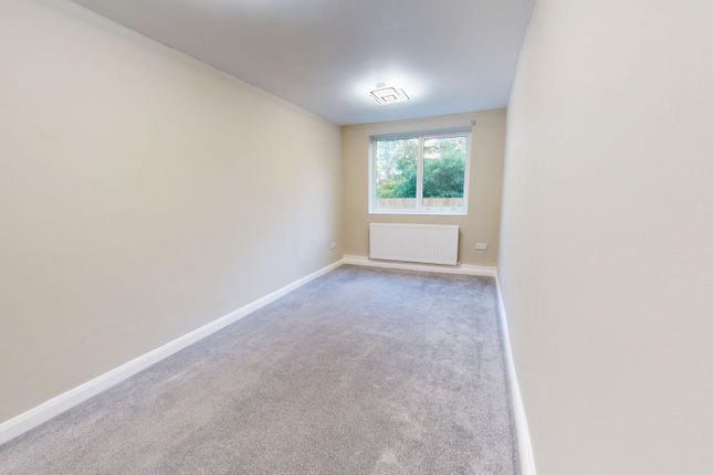 29 Shanklin Road, Brighton photo 3