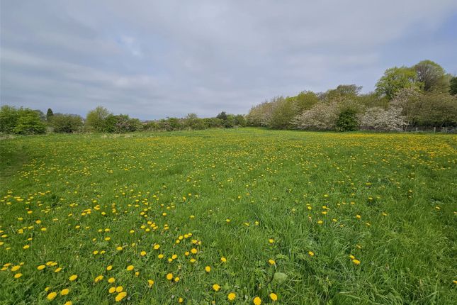 Land for sale in Byers Green, Spennymoor, County Durham