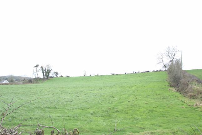 Land for sale in Crossgar Road, Dromara, Dromore