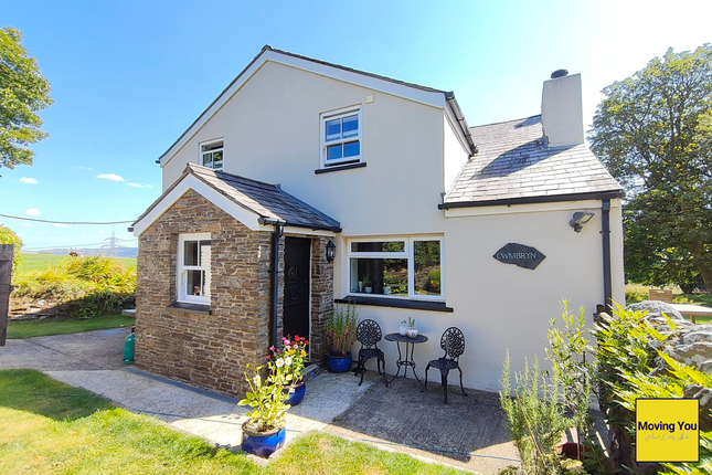 Cwmbryn, Swansea photo 3