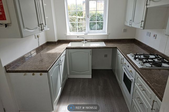 Webbs Wood, Peatmoor, Swindon photo 4