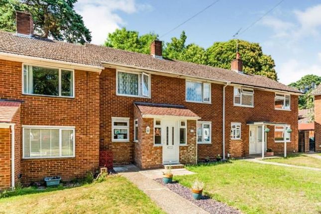 Thumbnail Terraced house for sale in Seymour Road, Southampton