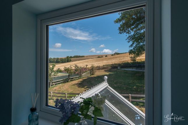 Views From Bedroom Four