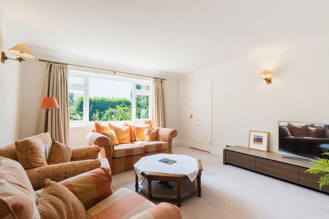 65 Hallamshire Road, Sheffield photo 3