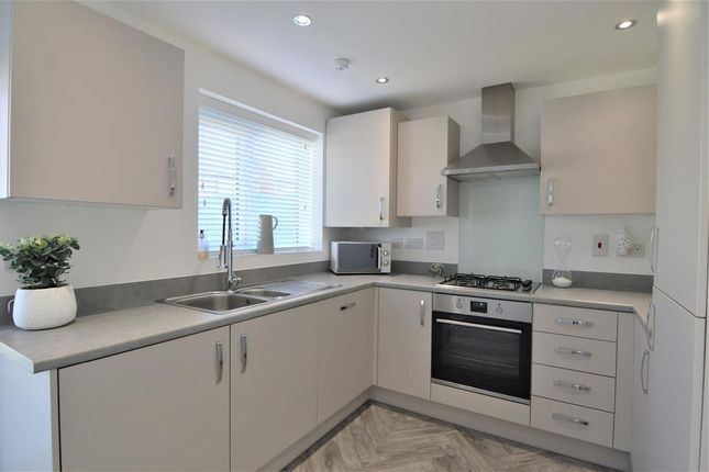 51 Romulus Way, Nuneaton photo 4