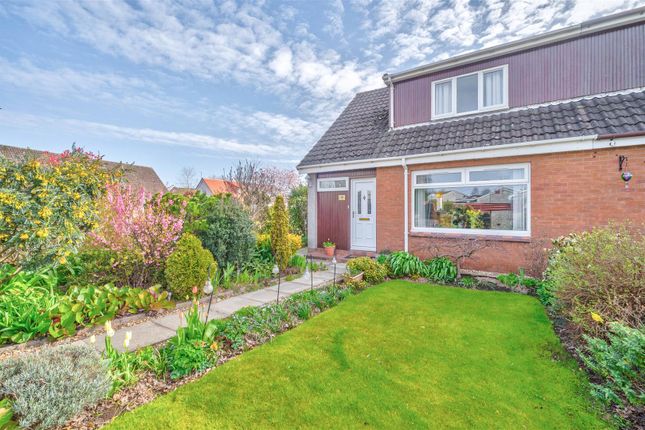 12, Hawick Drive, Dundee photo 2