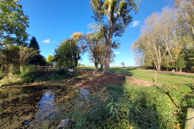 Farm for sale in Redhouse Lane, Dunley, Stourport-On-Severn