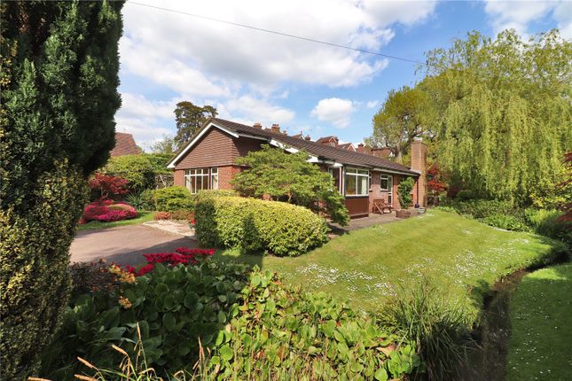 Thumbnail Bungalow for sale in Rodmell Road, Tunbridge Wells, Kent