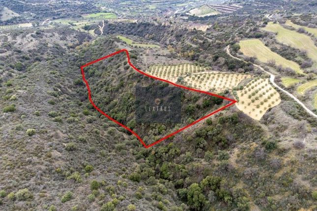 Land for sale in Paphos, Cyprus