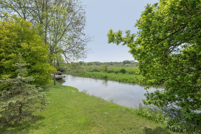 River View