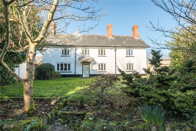 Thumbnail Detached house to rent in Capland, Hatch Beauchamp, Taunton