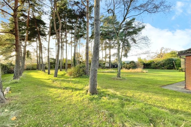 Oakwood House,, Main Road, Woodbridge photo 3