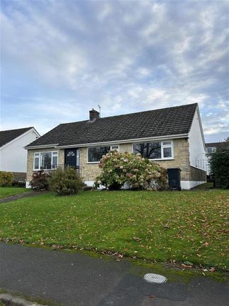 Front Perspective.Jpg