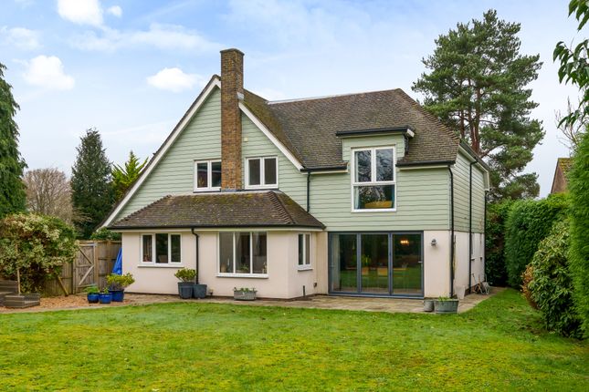 Thumbnail Detached house for sale in Hollycombe Close, Liphook