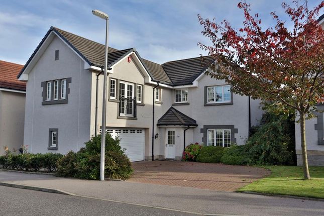Thumbnail Detached house to rent in Hammerman Drive, Aberdeen