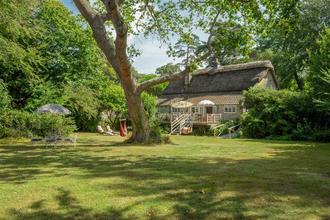 Norton Thatch, Halletts Shute, Yarmouth photo 2