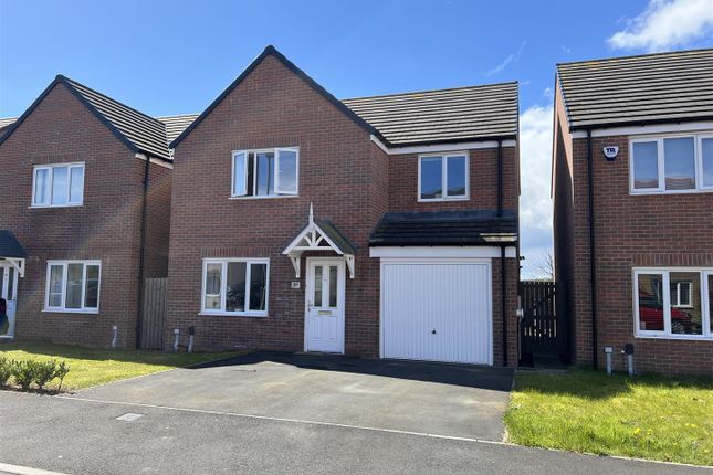Thumbnail Detached house to rent in Warkworth Way, Amble, Morpeth