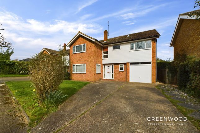 Detached house to rent in Lexden Road, Colchester