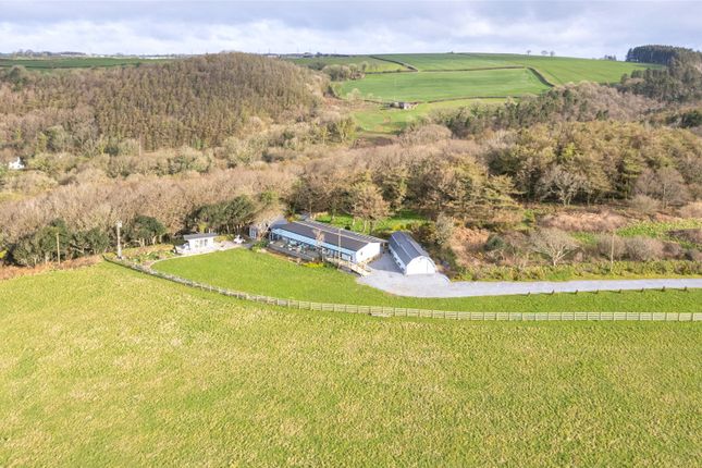 Taino Beach Lodge,, Amroth, Pembrokeshire photo 4