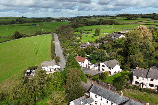 South Molton photo 2