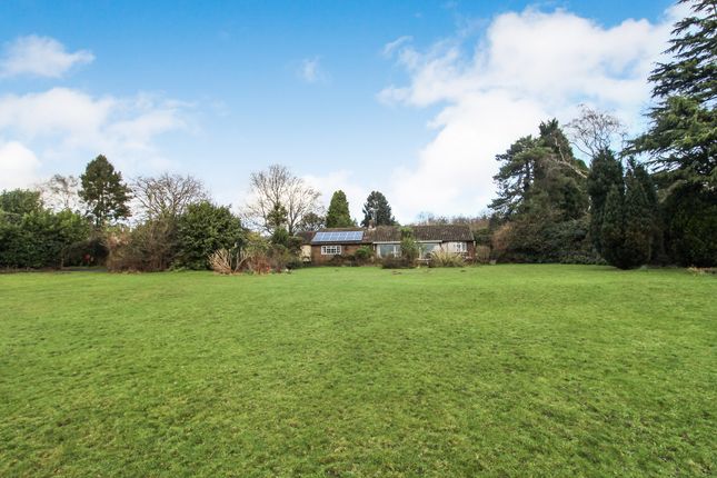 Thumbnail Detached bungalow for sale in Stone Quarry Road, Chelwood Gate, Haywards Heath, West Sussex.