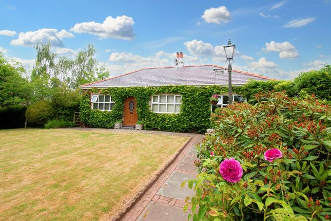 Thumbnail Bungalow for sale in Smithy Brow, Croft, Warrington