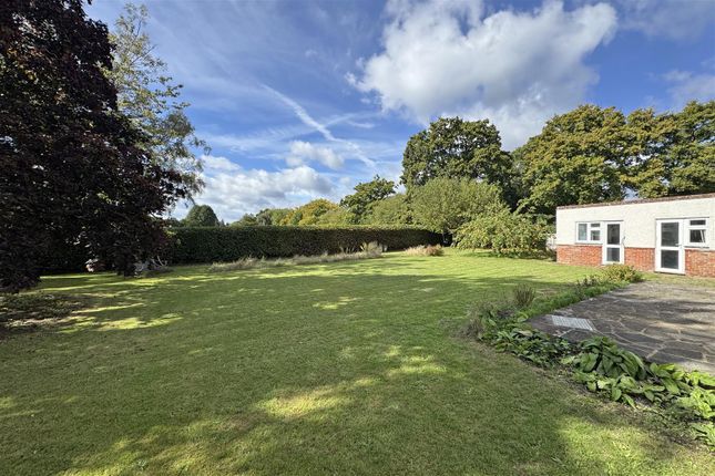 5, The Lawns, Milford photo 2