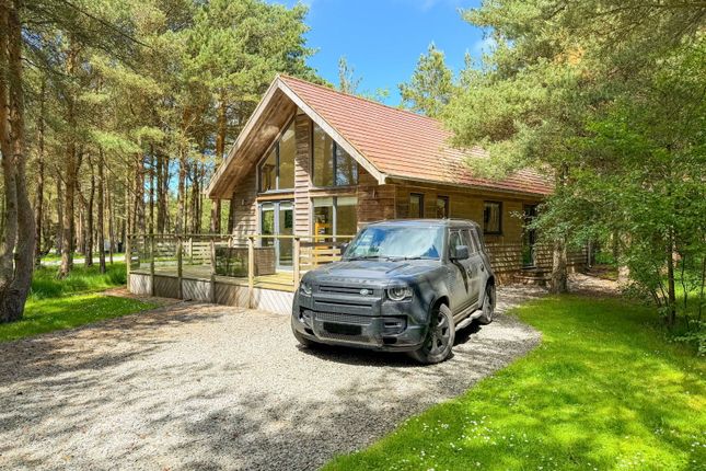 Ladycross Plantation Caravan Park, Whitby photo 2